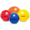 PhysioBall Standard