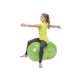 Physio Roll Plus Gymnic