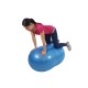 Physio Roll Plus Gymnic