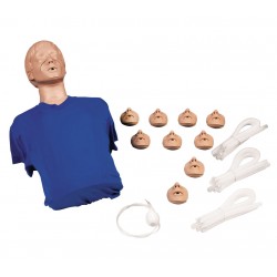 Resuscitační torzo Adam CPR