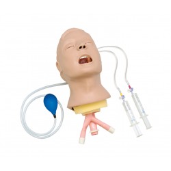 Model dýchacích cest - hlava dospělého Larry